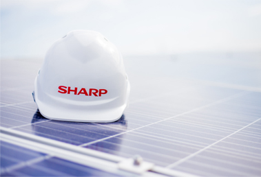 Sharp News 01