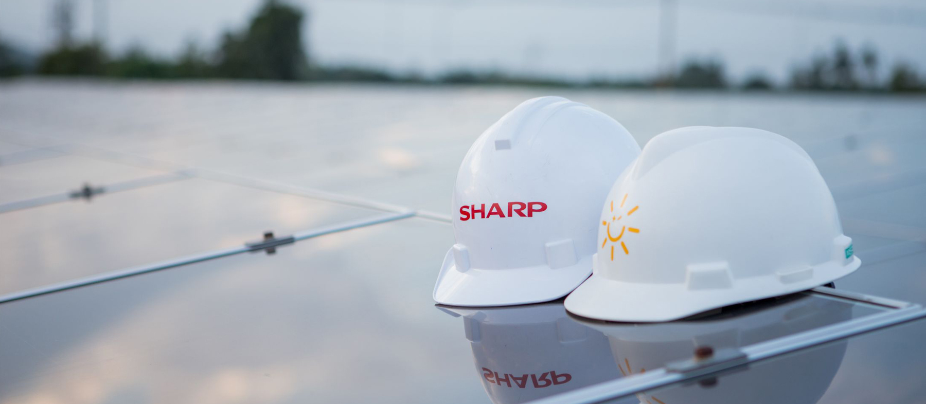Why Sharp