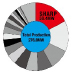 Worldwide-leading  manufacturer of solar cells/modules
